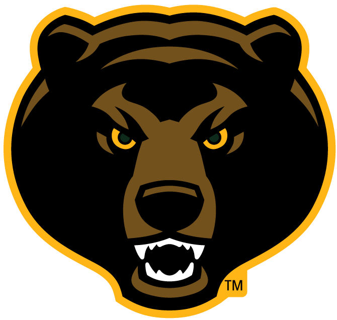 Baylor Bears 2005-Pres Alternate Logo v6 diy iron on heat transfer...